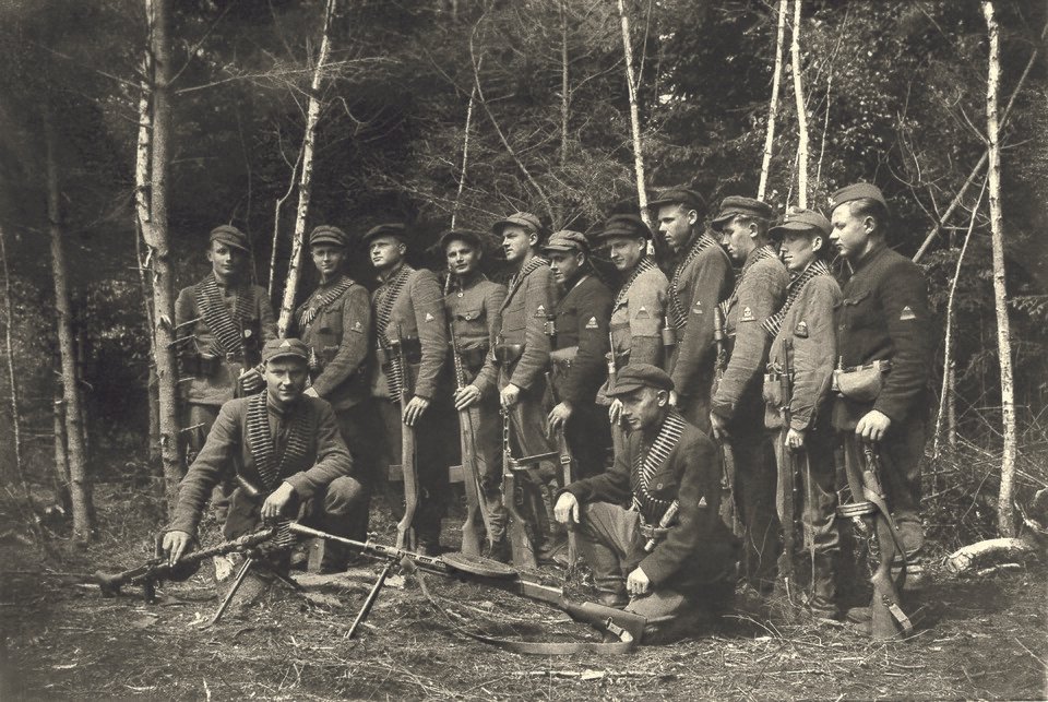 The Forest Brothers: The Baltic War After the War